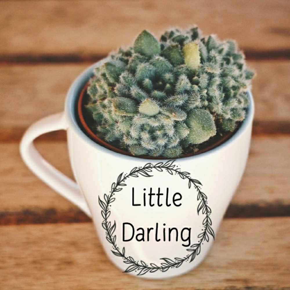 Meet your Posher, LittleDarling19